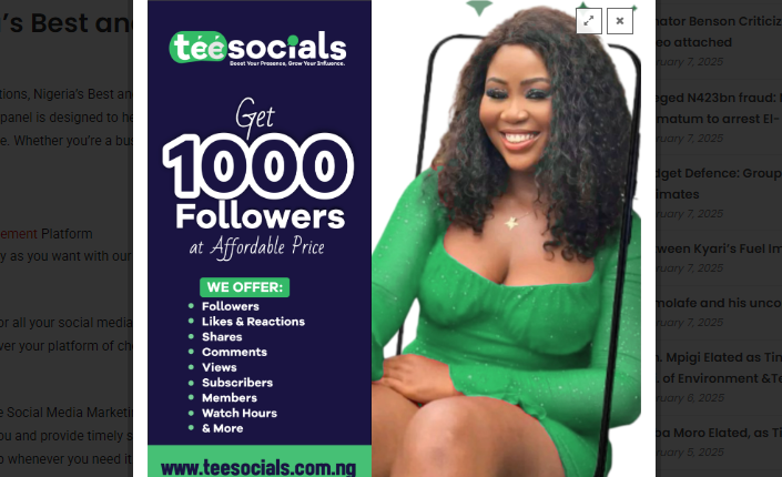 Teesocials: Nigeria's Best and affordable Social Media Marketing Panel